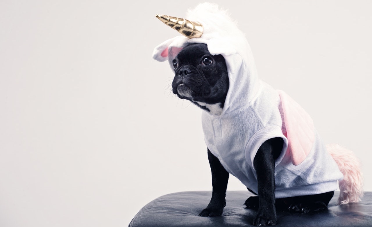 Want to Be the Next Startup Unicorn? You Need to Do This.
